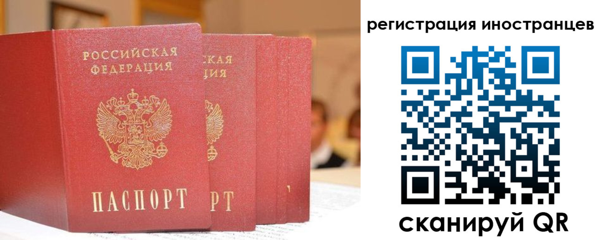 где прописаться в Опочке